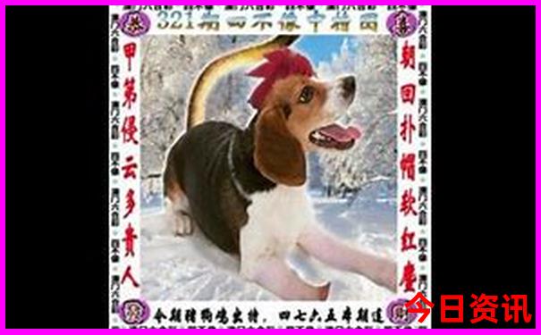 希拉穆仁草原旅游攻略